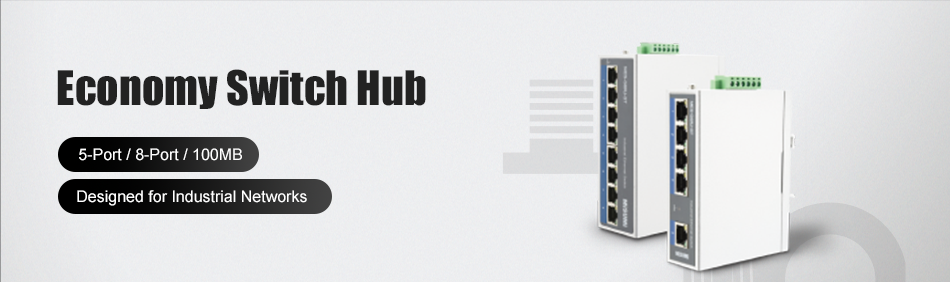 Economy Switch Hubs